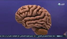 التلوث وخطر الخرف .. 
#تقرير: سكان الطرق الرئيسية أكثر عرضة من غيرهم للإصابة بمرض الخرف