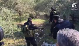 #شاهد قوات السلطة الأمنية تقتل خنزير بري بعد ملاحقته في إحدى مزارع بلدة فرعون قضاء طولكرم .