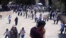 توتر في الأقصى عقب اعتداء قوات الاحتلال على مسيرة في ذكرى هبة باب الأسباط