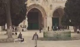 شاهد مجموعة من المستوطنين تقتحم المسجد الاقصى المبارك بحماية قوات الاحتلال