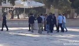 #شاهد مستوطنون يقتحمون المسجد الأقصى المبارك صباح اليوم

تصوير: البدوي