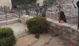 #عاجل من مكان عملية الطعن في القدس المحتلة والتي اصيب بها حارس أمن صهيوني بجراح خطيرة.