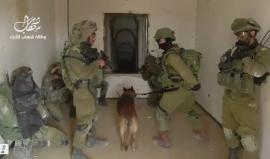 #شاهد جيش الاحتلال يتأهب لـ مواجهة حماس "تحت الأرض"

ترجمة شهاب/ موقع والا العبري