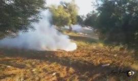 #شاهد 
 مواجهات عنيفة في بلدة تقوع جنوب شرق بيت لحم تضامناً مع الاسرى المضربين عن الطعام 
 تصوير صبري جبريل