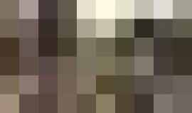 مسيرة حاشدة في المسجد #الاقصى نصرة لغزة وتنديدا بالحصار .