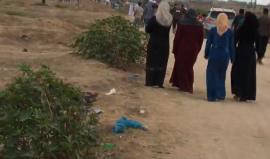 #مباشر مشاركة جماهيرية حاشدة في مسيرة العودة شرق البريج 

بث مراسلنا أحمد المقادمة