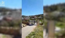 #فيديو مستوطنون يعتدون على ممتلكات المواطنين ويحطمون بوابة حديدية في قرية عين رافة بالقدس