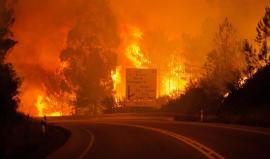 فيديو - ارتفاع ضحايا حريق غابات البرتغال إلى 43 قتيلا