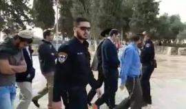 استمرار اقتحامات المستوطنين للمسجد الأقصى