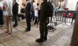 بعد جولة اقتحام في المسجد الأقصى: مستوطنون يخرجون من باب السلسلة ويؤدون رقصات ويرددون هتافات داعية لبناء "هيكل مزعوم".