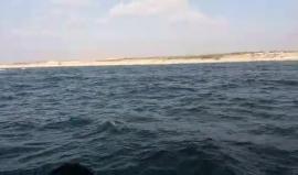 #مباشر اقتراب التظاهرة البحرية التي انطلقت من ميناء غزة، من الحدود البحرية مع الاراضي المحتلة للمطالبة بكسر الحصار