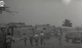 #شاهد| واقع فلسطينيي الداخل بعد 70 عاماً من النكبة !