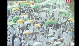 #شاهد حجاج بيت الله يصعدون لعرفات لأداء ركن الحج الأعظم