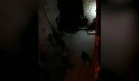 #شاهد 
اقتحام المستوطنين وتحطيم أبواب منزل لعائلة الزعتري واقتحامه بحماية قوات الاحتلال قرب المسجد الإبراهيمي في #الخليل