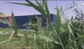 الاحتلال خطر بمنع العمل في مشروع استصلاح نبع مياه بعين الحمة - فاتن الصالح