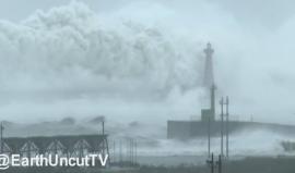 #شاهد نشر فيديو لأمواج هائلة ومخيفة رافقت إعصار "ميجي" في تايوان