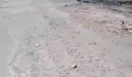 #فيديو طلبة جامعة القدس في بلدة أبو ديس ينظمون فعالية نصرة لغزة