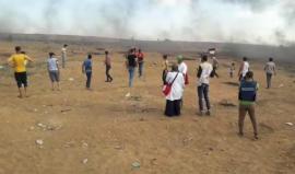 #شاهد المواجهات مع قوات الاحتلال قرب السياج الفاصل شرق جباليا شمال قطاع غزة
#بث|| محمد المصري