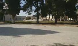 #شاهد مستوطنون يقتحمون المسجد الأقصى المبارك بحماية أمنية مشددة