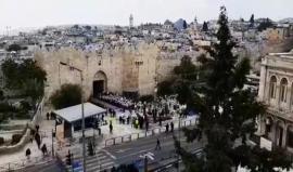 مسيرة كبيرة للمستوطنين في حائط البراق بالقدس المحتلة احتفالا بذكرى احتلال القدس