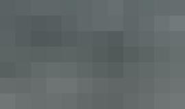 عثر فريق من الباحثين على مستعمرة تحوي أعداداً هائلة من بطاريق "آديلي" في إحدى الجزر المهجورة بقارة "أنتاركتيكا" على الرغم من اعتقادهم بأن أعدادها في تراجع مستمر