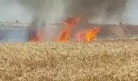 حرائق كبيرة في مستوطنات إسرائيلية بفعل الطائرات الورقية الحارقة شرق #خانيونس جنوب قطاع #غزة