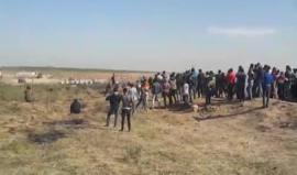 #مباشر استمرار توافد المشاركين في مسيرات العودة بمنطقة ملكة شرق غزة والاحتلال يعتدي على المتظاهرين بالرصاص الحي وقنابل الغاز

تصوير: فادي ثابت