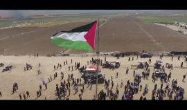 #شاهد
الجمعة *1/6/2018*  