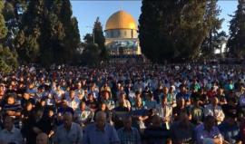 #بث_مباشر | صلاة العيد بالمسجد الأقصى المبارك  تصوير : ابراهيم السنجلاوي