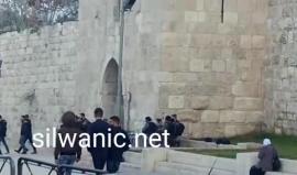 #فيديو انتشار لقوات الاحتلال عند باب الساهرة في القدس المحتلة