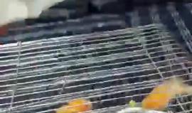 سوري يدعم الليرة التركية على طريقته الخاصة