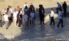 #شاهد مستوطنون يتلقون شروحات من أحد الحاخامات عن الهيكل المزعوم قبالة قبة الصخرة في المسجد الأقصى