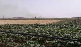 حريق هائل شرق مدينة غزة موقع ملكة بفعل الطائرات الورقة