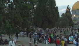 #مباشر من رحاب المسجد الأقصى المبارك قبل دقائق من أذان المغرب .