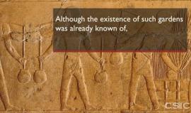 #شاهد | بعثة آثارية إسبانية تكتشف أول حديقة جنائزية فرعونية قرب مدينة الأقصر ترجع إلى منطقة طيبة، العاصمة القديمة لمصر، ويعود تاريخها إلى 4000 عام.