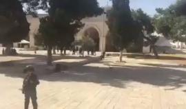 جانب من انتشار قوات الاحتلال في ساحات المسجد الأقصى المبارك صباح اليوم