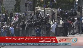 #شاهد | #مباشر قوات الاحتلال تهاجم المصلين في منطقة باب الاسباط بالقدس المحتلة وتمنعهم من الاقتراب من المسجد الأقصى . 
#جمعة_الأقصى
