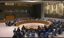 مجلس الأمن يفشل في إدانة الاحتلال وتحميله مسؤولية مجزرة غزة 
تقرير مريم الخليل