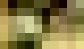 الانسحاب "الاسرائيلي" من قطاع غزة .. 

تعرف على المستوطنات التي كانت جاثمة على أراضي القطاع وأبرز عمليات المقاومة الفلسطينية