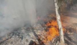 #شاهد حريق في إحدى غابات مستوطنات غلاف غزة بفعل بالون حارق