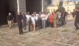 #شاهد مستوطنون يقتحمون المسجد الأقصى بحماية أمنية مشددة
