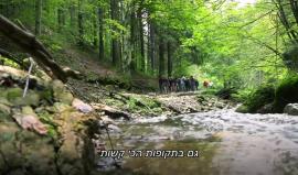 #شاهد باعتراف جنود وحدة النخبة في جيش الاحتلال " قتل، بكاء، هلع، عاهات، حالات نفسية .. هذا ما جنيناه من الحرب مع غزة " .
القناة "2" العبرية .. ترجمة شهاب