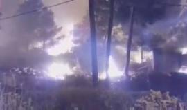 تمدد النيران المشتعلة في مستوطنة "زخرون يعقوب" شمال فلسطين المحتلة في أعقاب هبوب رياح صباح اليوم كذلك اندلعت النيران في مستوطنة دولوب ومناطق جفعوت ورفاديم

فيديو من احدى المناطق المشتعلة