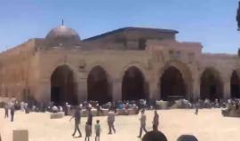 #مباشر : خطبة الجمعة من المسجد الأقصى المبارك
تصوير: ابراهيم السنجلاوي