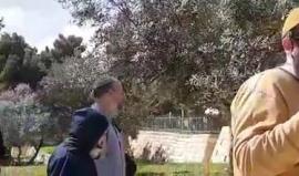 جانب من اقتحام المستوطنين لباحات المسجد الأقصى المبارك