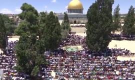 #شاهد 
شركة الباصات الموحدة في شهر رمضان للتوجه للقدس المحتلة 
تقرير دانا أبو شمسية