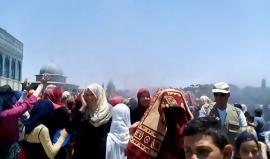 #شاهد: متطوعون يرشون المياه الباردة على المصلين في ساحات المسجد الأقصى للتخفيف من أثر درجات الحرارة المرتفعة. 

تصوير: صفية عمر