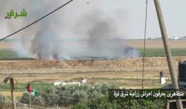 #شاهد متظاهرين يحرقون احراش زراعية شرق حي الشجاعية بفعل الطائرات الورقية ..