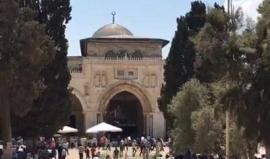 #بث_مباشر | خطبة الجمعة من المسجد الأقصى المبارك

تصوير : ابراهيم السنجلاوي