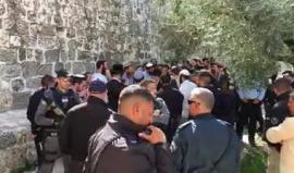 فيديو من اقتحام المستوطنين للمسجد الأقصى المبارك